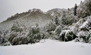 PRIMA NEVE A CESPEDOSIO - FOTOGALLERY